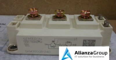 Датчик/Модуль SEMIKRON SKM300GB124D