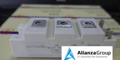 Силовой модуль SEMIKRON SKM75GB12T4